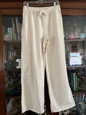 Aerie carpenter cargo pants🌚